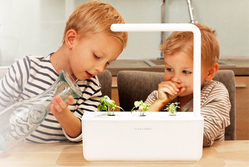 Children adding water to Click and Grow Self-Growing Herb Garden