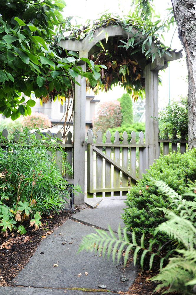 Garden gate with arbor and greenery