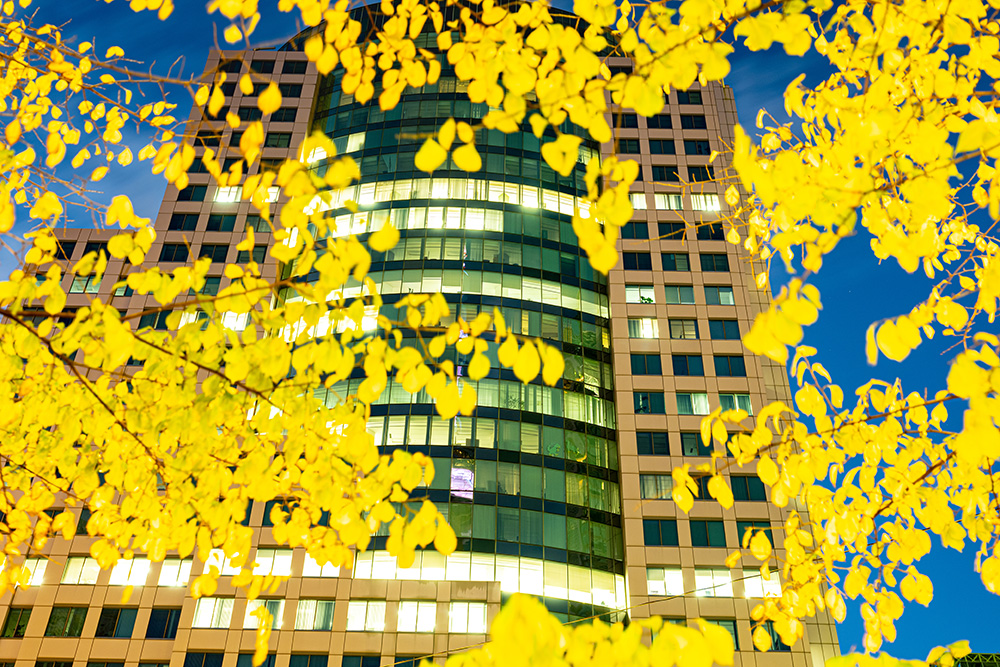 Building surrounded by fall leaves