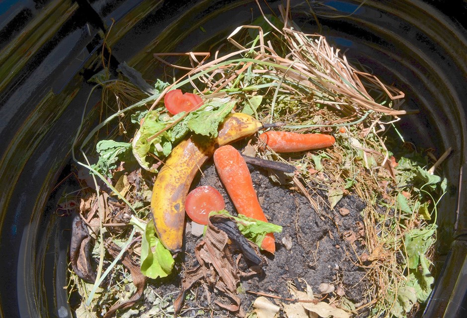 7. Compost Your Garden