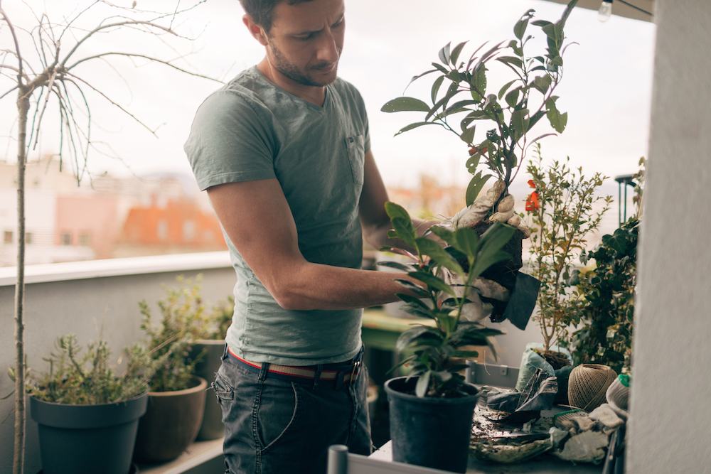 man planting in containers on balcony