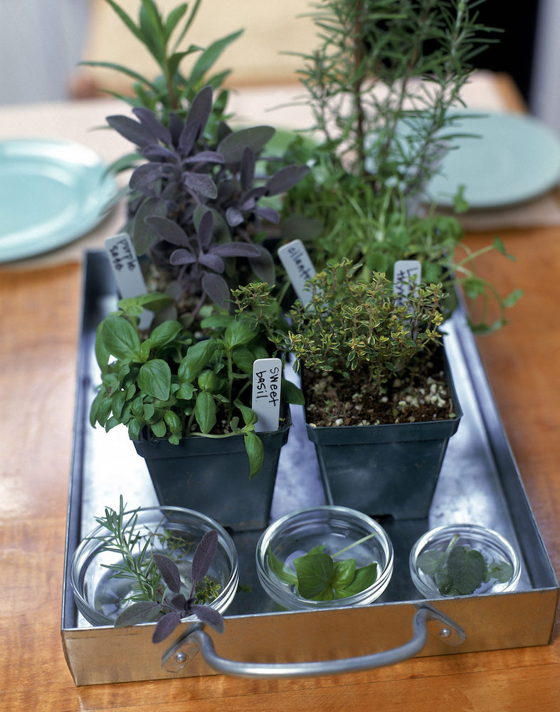 labelled herbs in pots on table