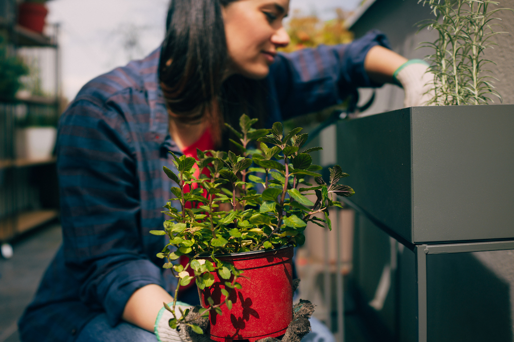 woman arranging plants in planter