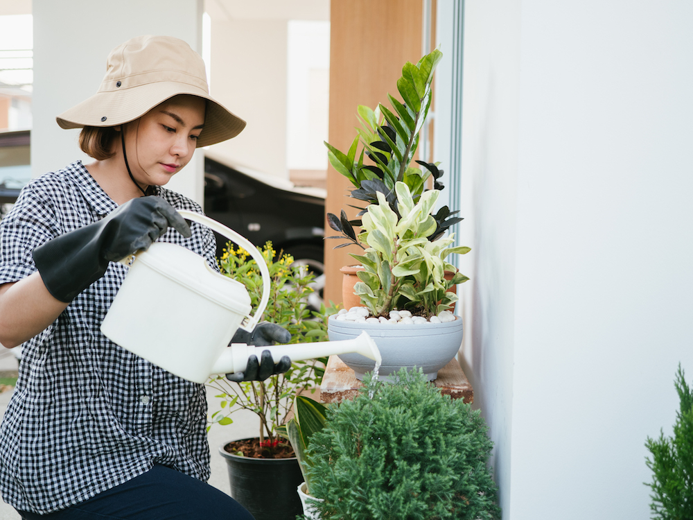 woman in hat watering plants on balcony