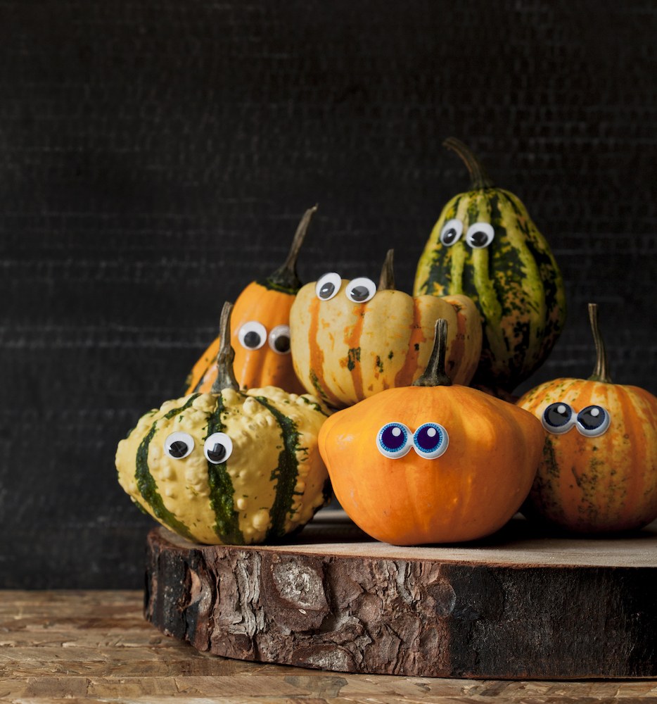 mini pumpkins with eyes still life over rustic table against black blackground