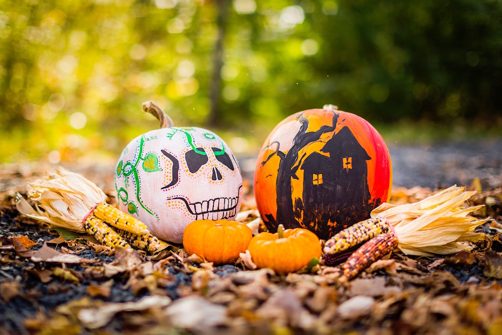 two painted pumpkins on piles of leaves