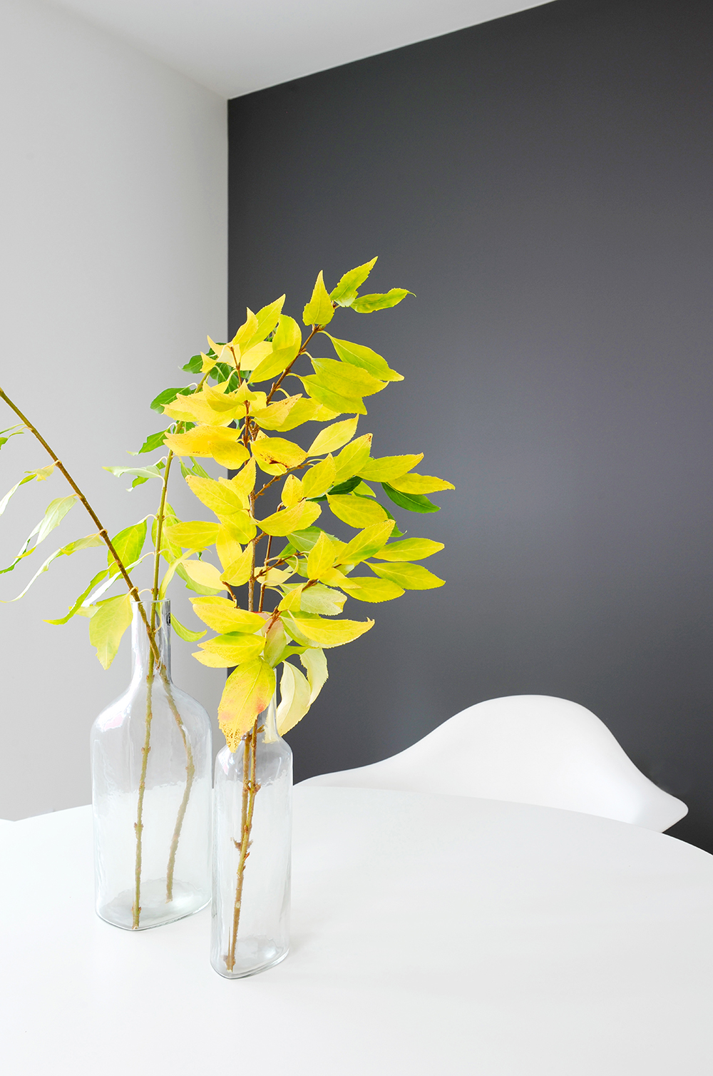 Simple arrangements of leafy branches sit on a simple kitchen table.
