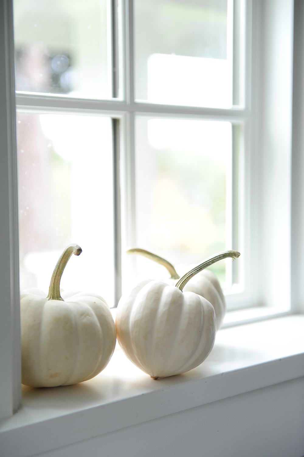 A simple display of white gourds.