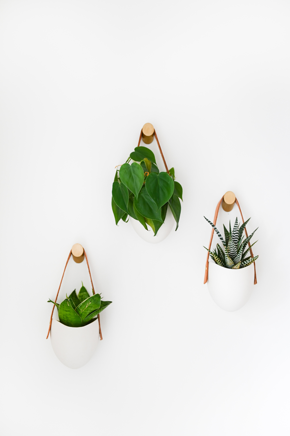 three hanging wall plants on white wall