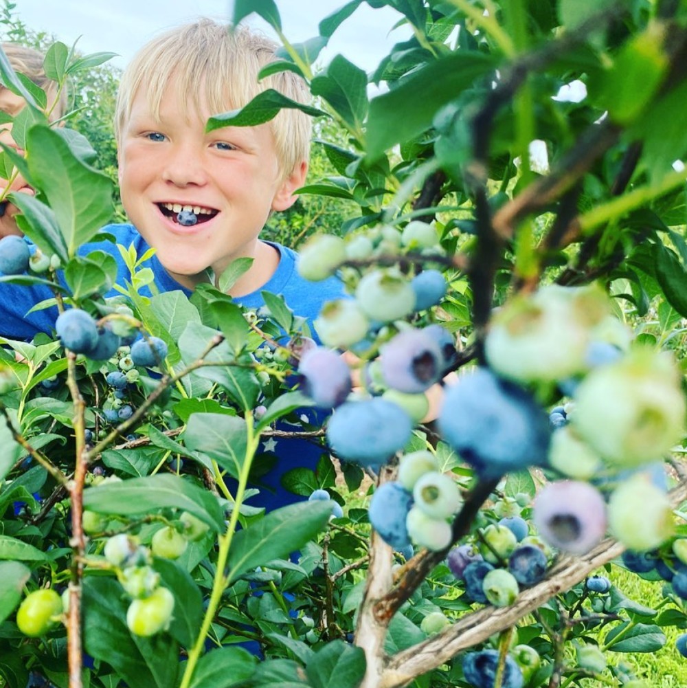 Boy smiling at blueberry farm