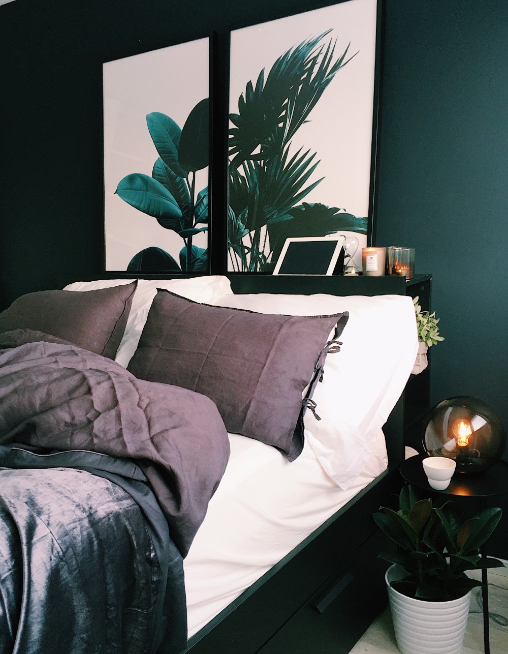 Dark bedroom with plants
