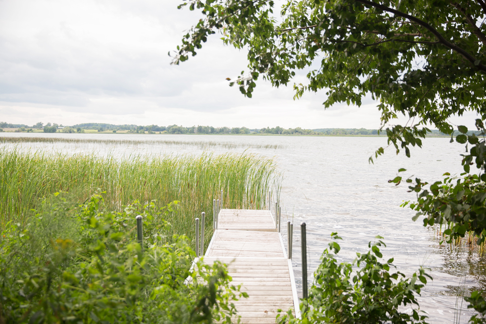 wooden and steel dock to lake and grasses