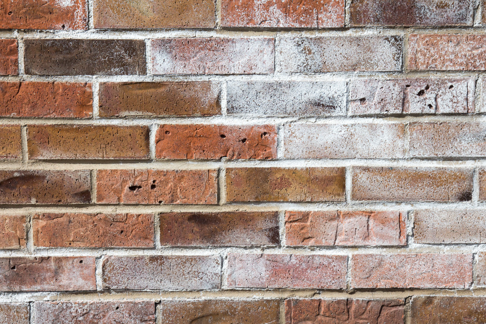 Brick wall with efflorescence on it