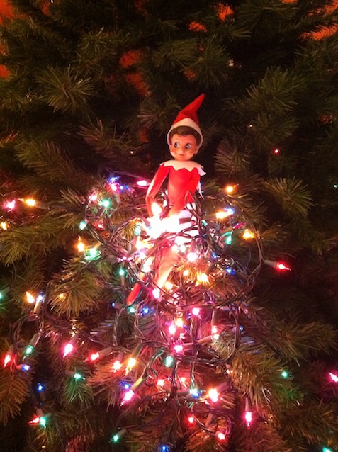 Elf on the shelf sitting in christmas tree lights