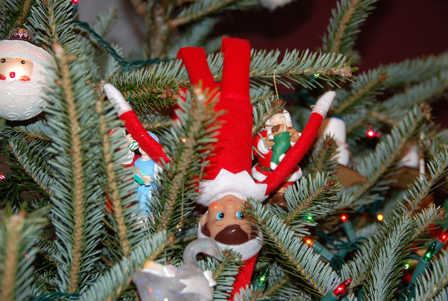 Elf on the shelf hanging upside down on a Christmas tree