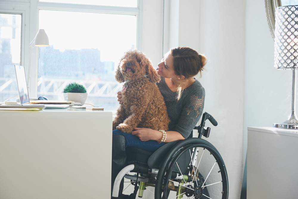 Person in a wheelchair with dog
