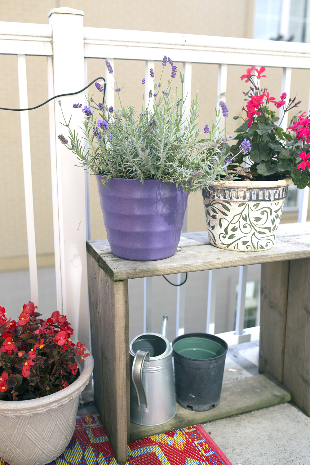 A wood crate holding watering cans and a variety of potted plants