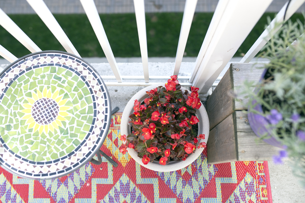 An overview of an outdoor area rug, mosaic table and a variety of plants