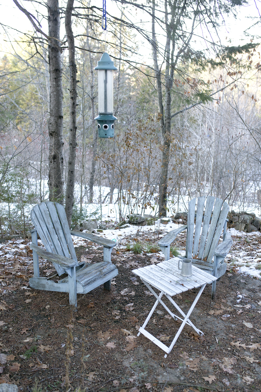 Muskoka chairs in forest outside home