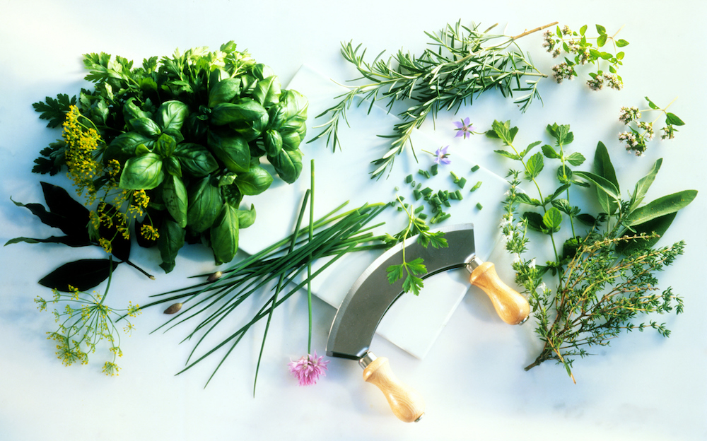 green herbs and mezzaluna knife on white background
