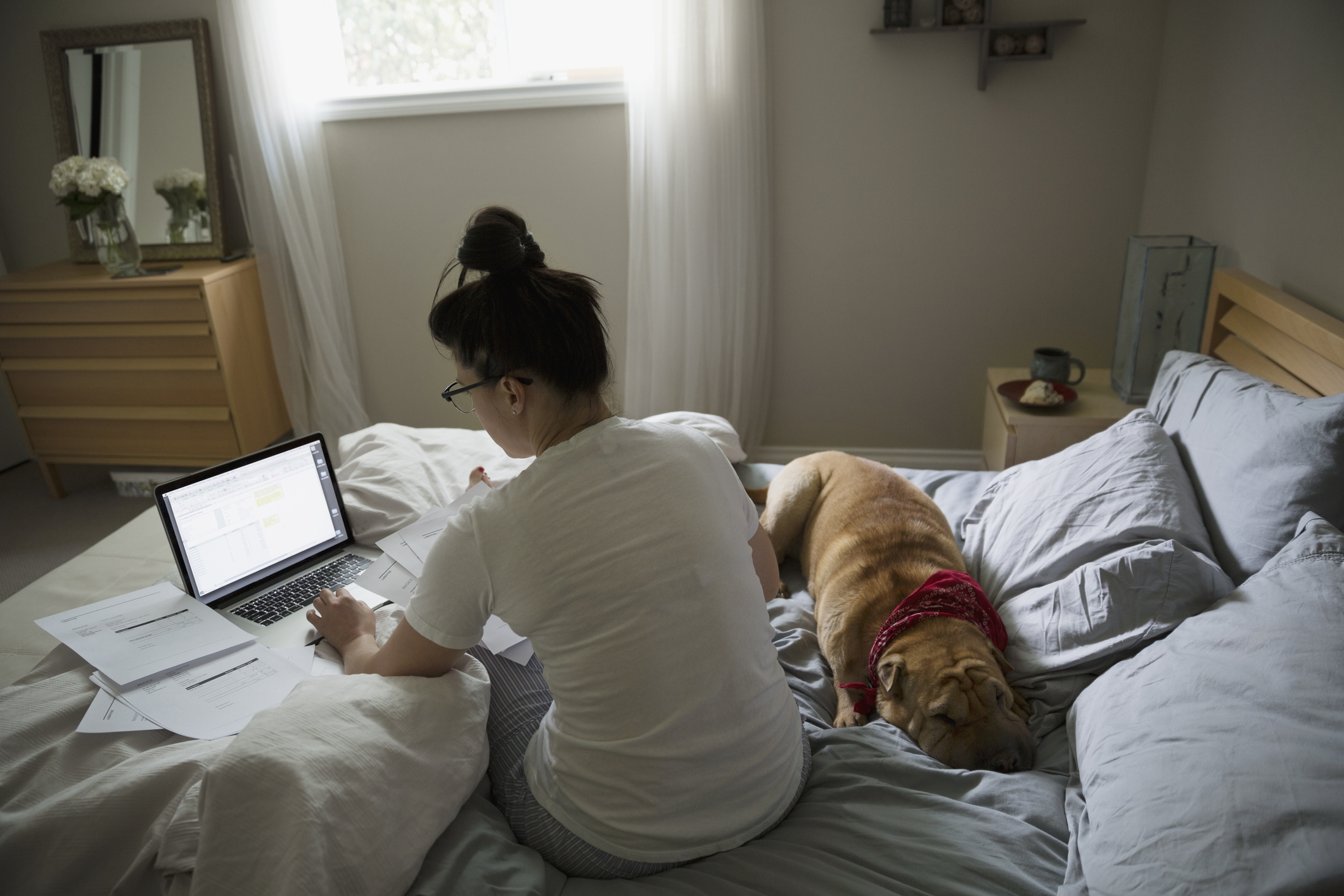 Woman working bed at laptop by sleeping dog