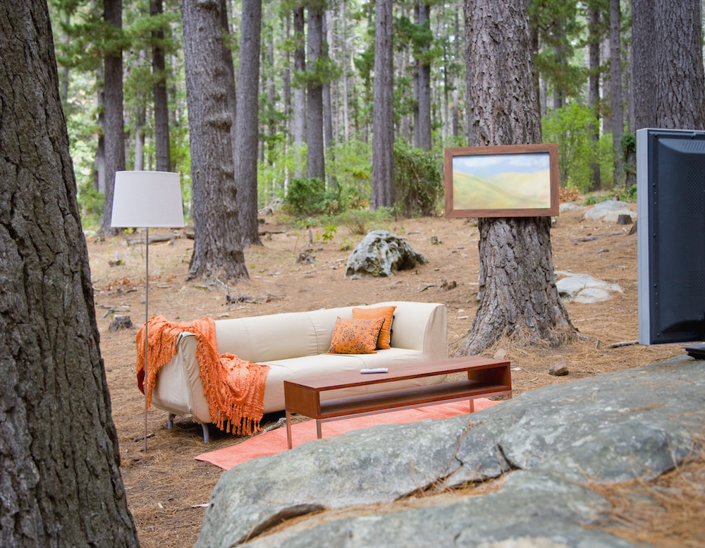 couch and living room furniture in forest