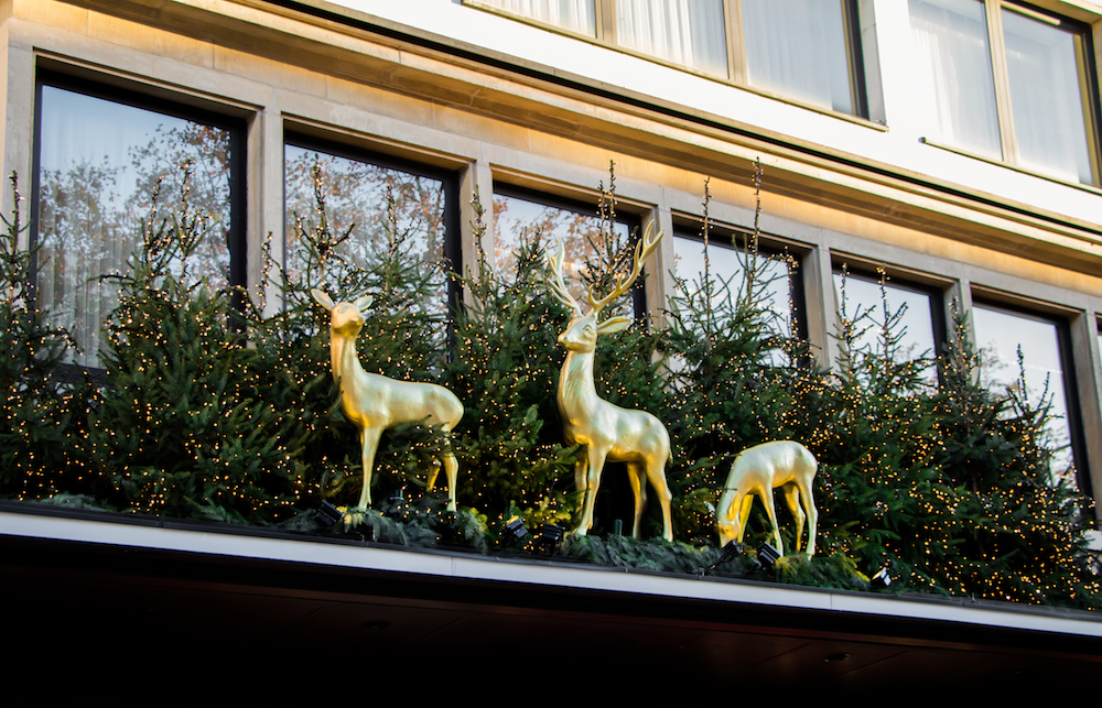 golden deer statues standing among green Christmas trees decorated with lights
