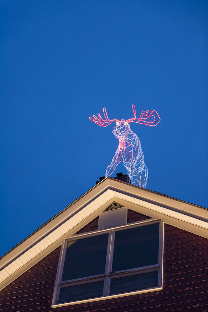 illuminated Moose decoration with neon lights attached on top of roof of house