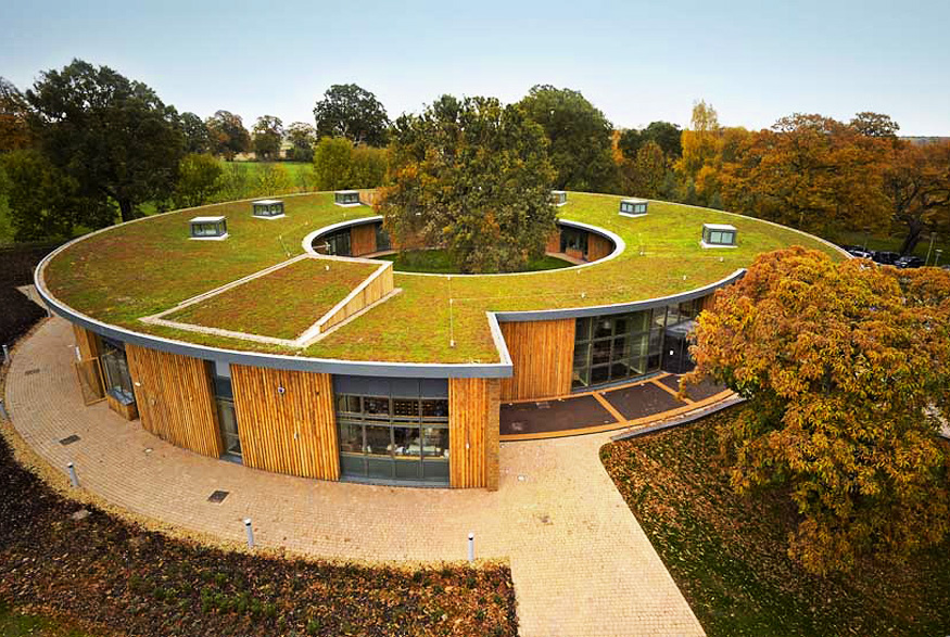 2. Green Roof Homes