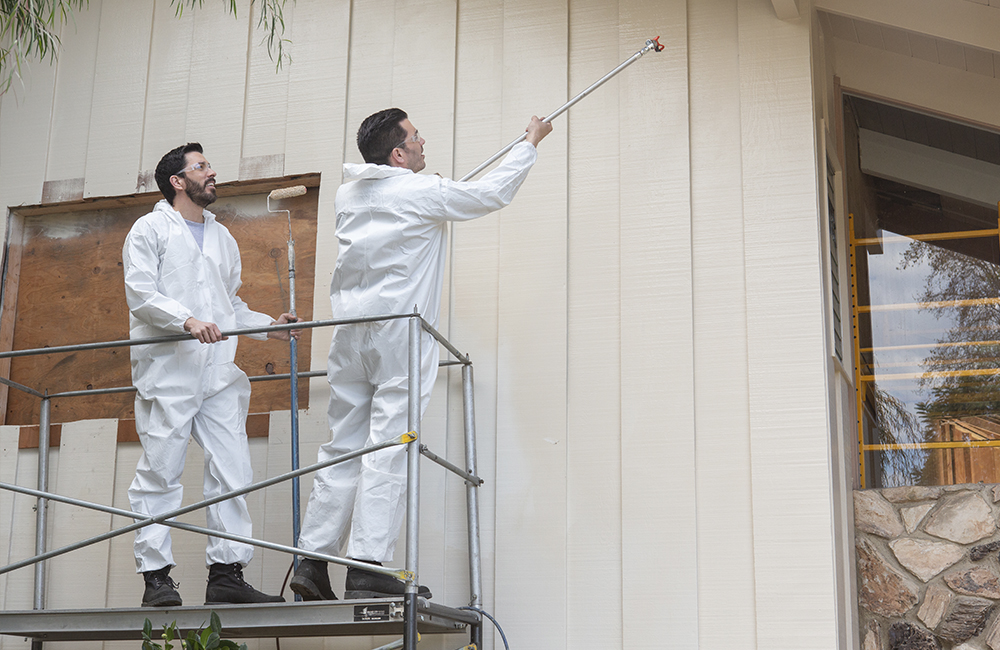 Property Brothers painting