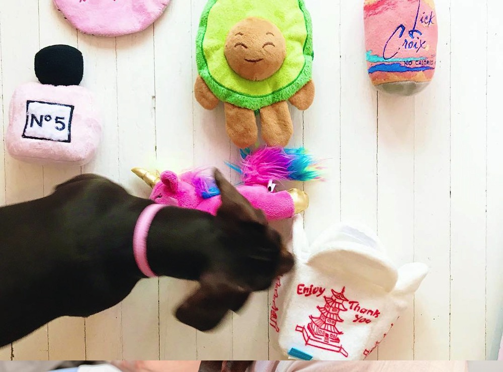 Tiffany Pratt's dog Poppy plays with his toys