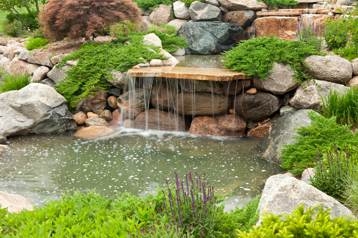 A backyard fountain and pond