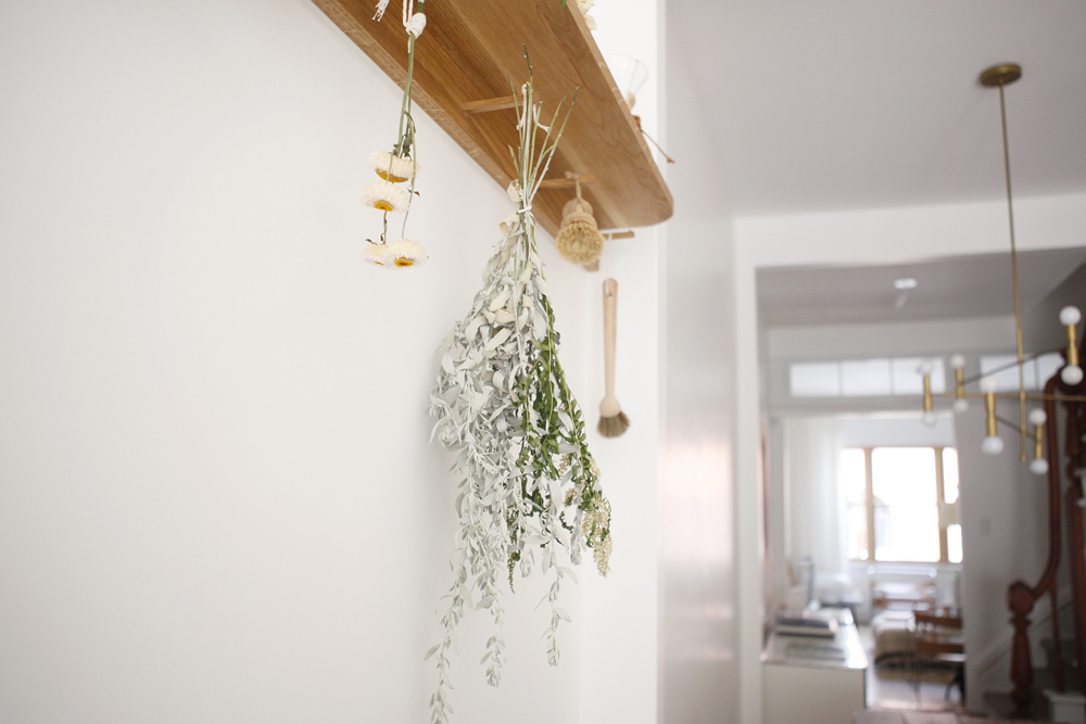 dried herbs and brushes hanging from shelf