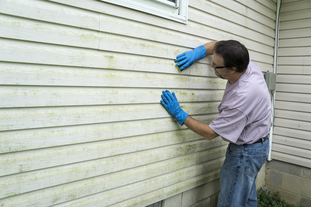 A contractor cleaning dirty and rotten vinyl siding on the exterior of a house.