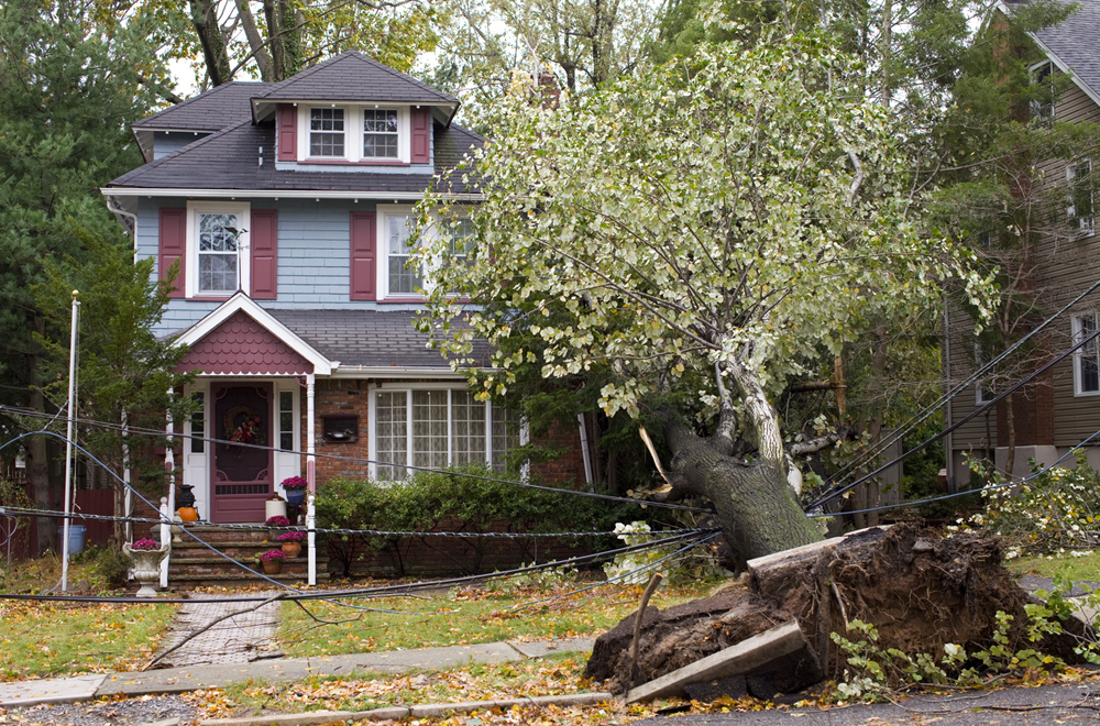 A large tree coming out of the ground by it's roots and falling on the front of a residential home.