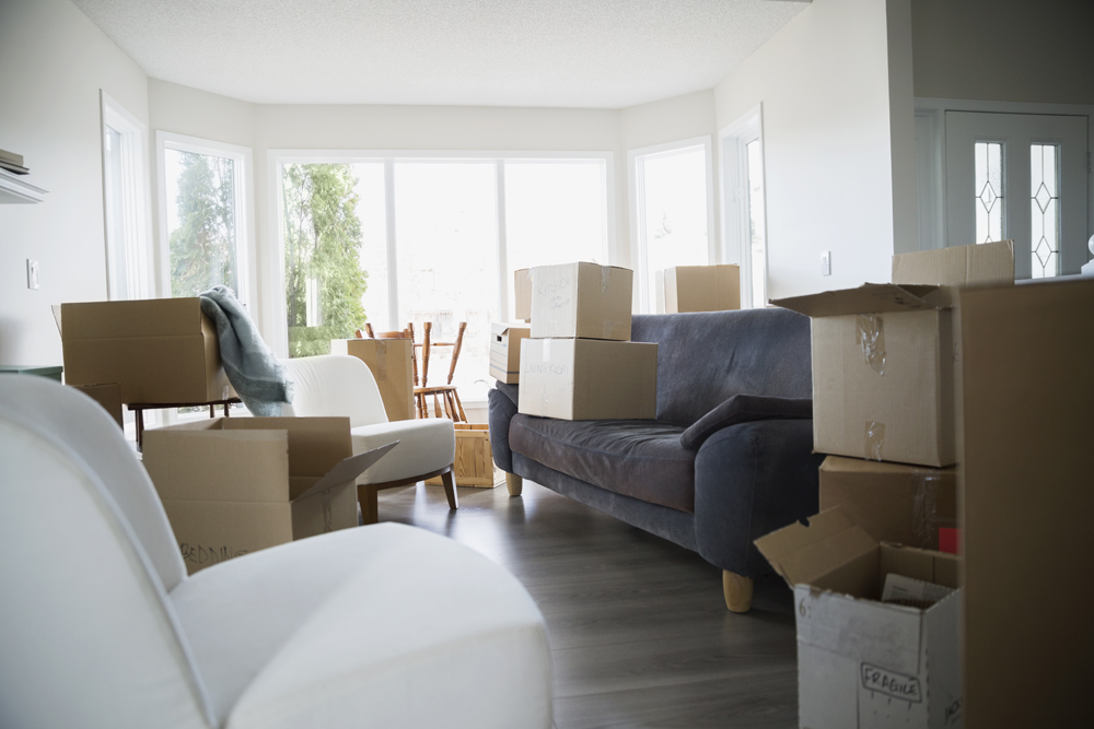 Large and bright living room with many scattered cardboard boxes.
