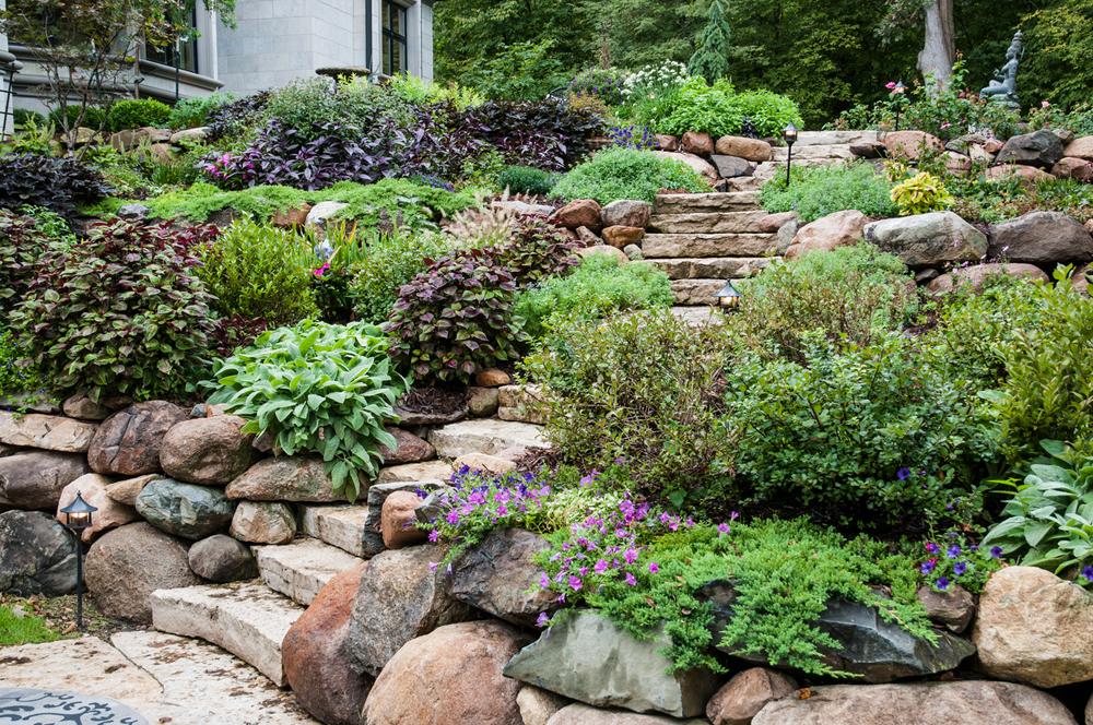 Beautifully landscaped foliage comprised of shrubs, hostas, flowers, grass and lots of large rocks, climbing up a staircase.