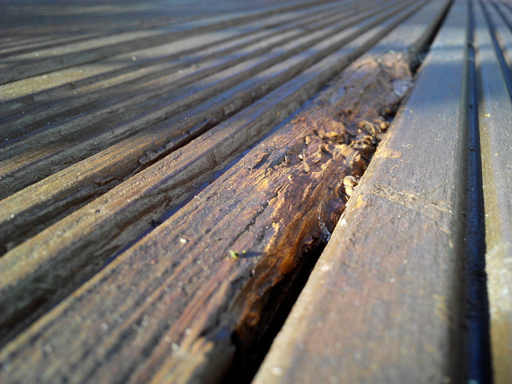 Rotting deck board