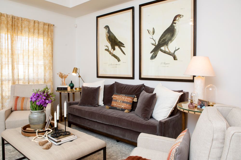 warm living room with bird art on wall