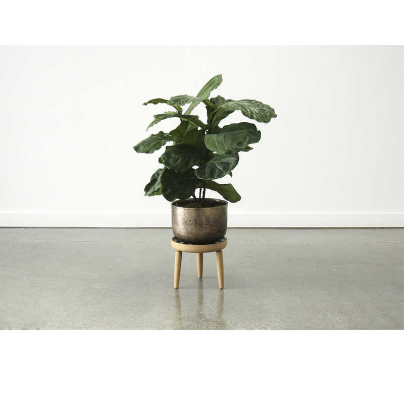 Bare Plant Stand by Jake Whillans Studio.
