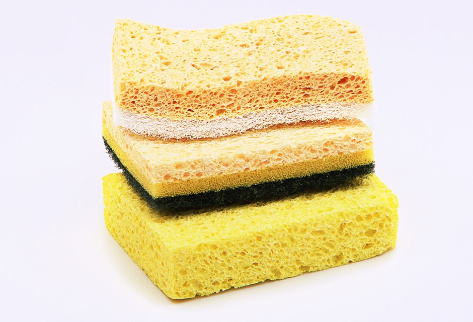 10. Kitchen Sponge