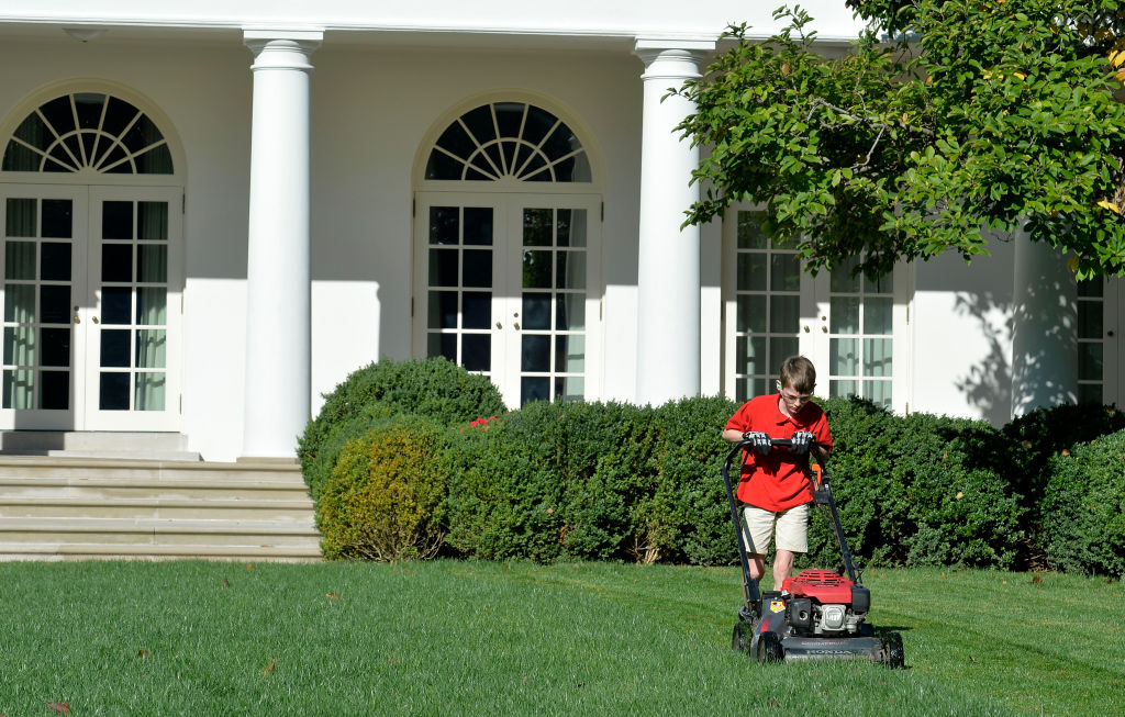 Child mows lawn.