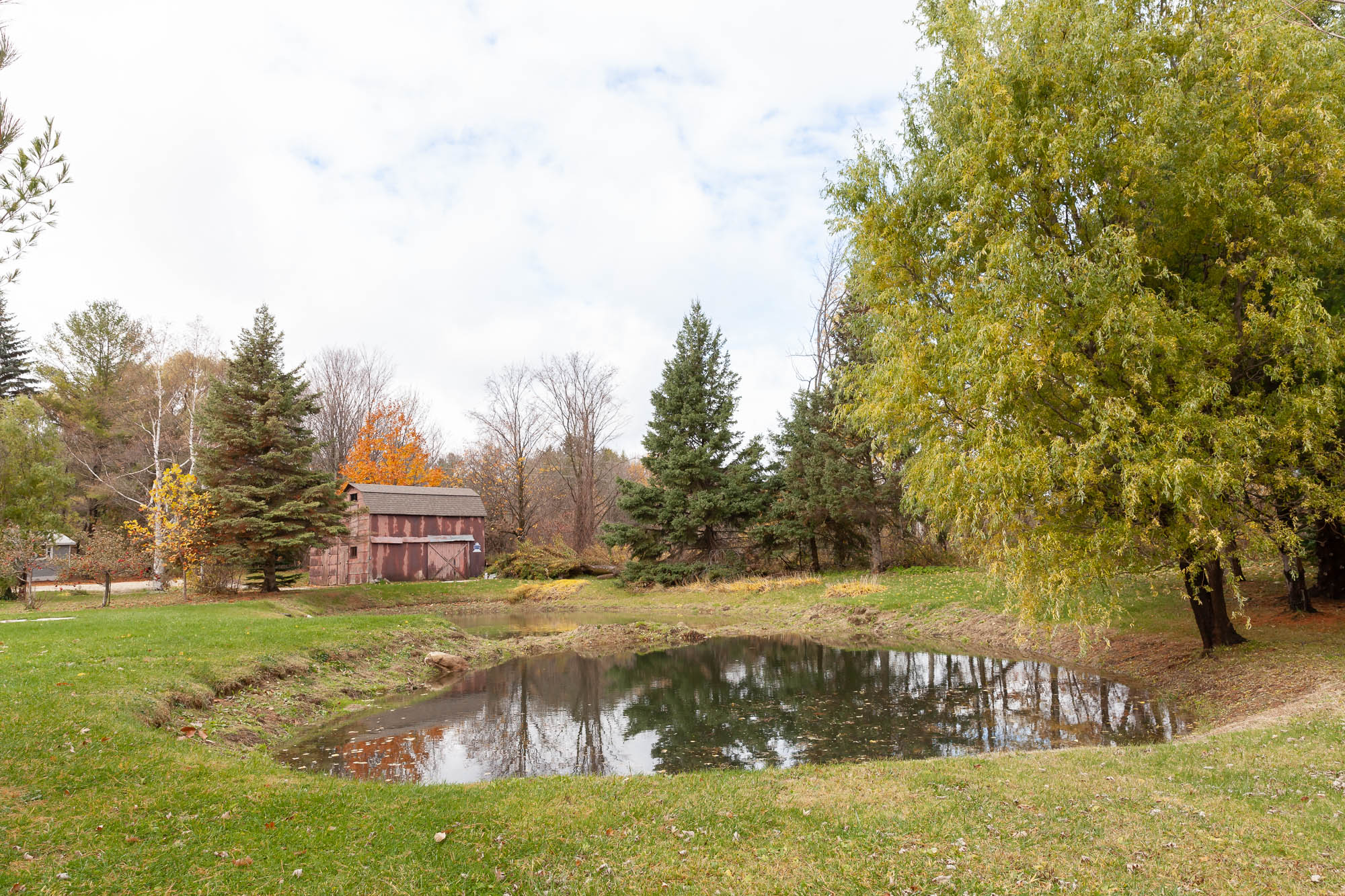 pond on property in Collingwood, Ontario