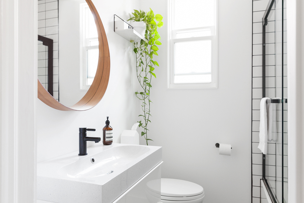 All-white bathroom with minimal decoration aside from a potted plant on a shelf
