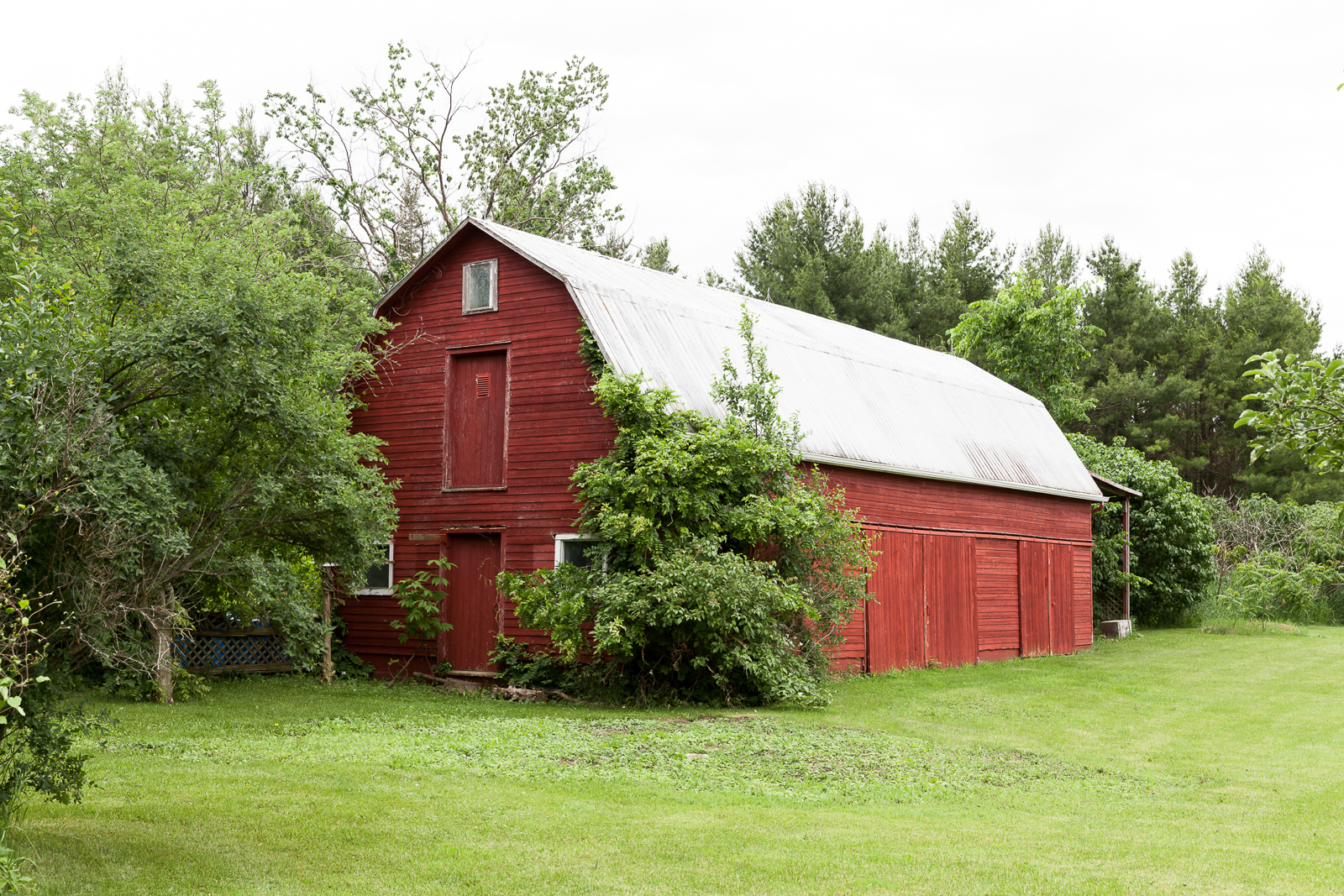 Red barn in Prince Edward County