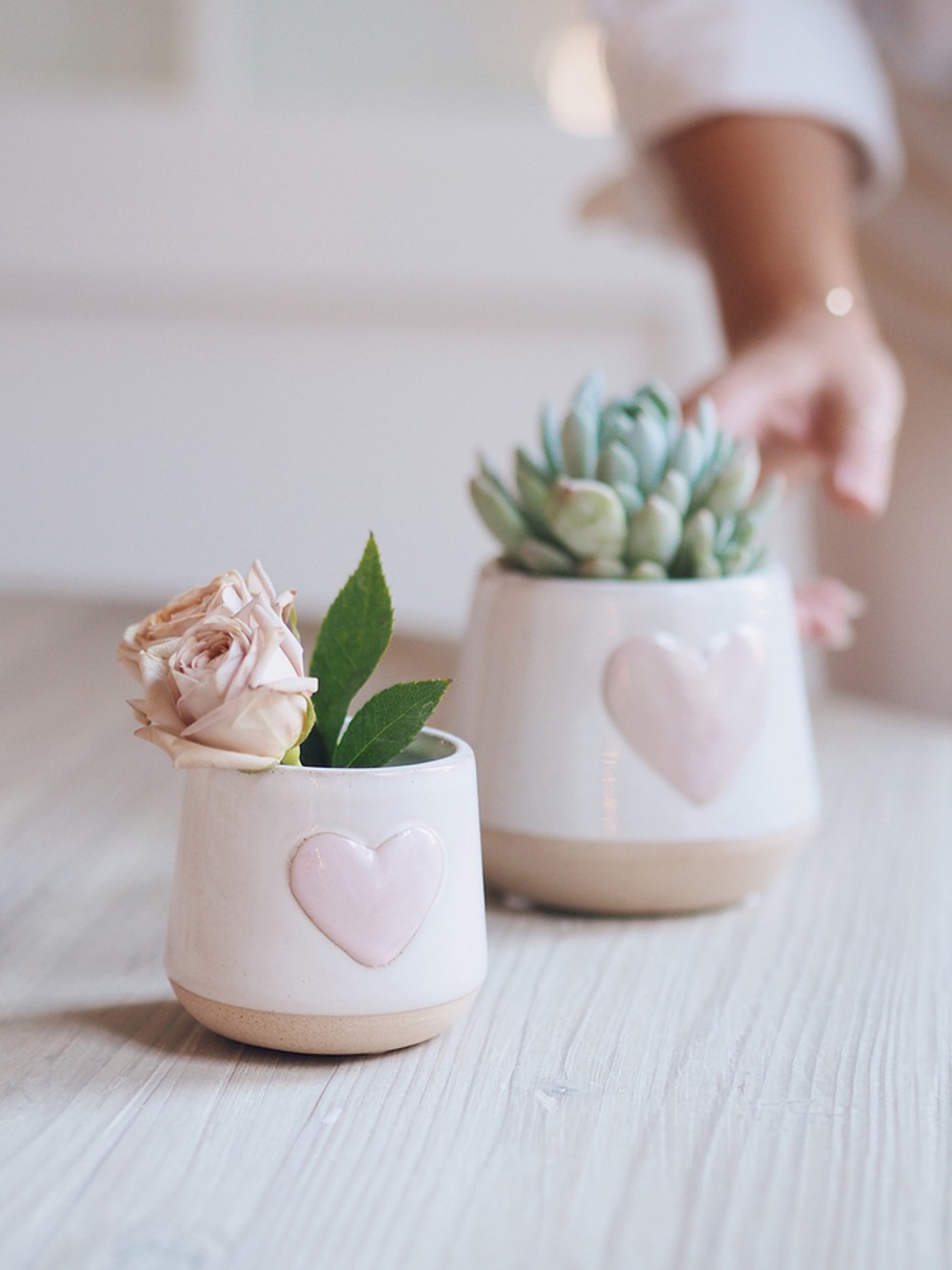 little plant pots with pink hearts