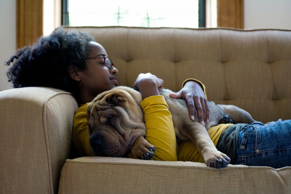 Young girl cuddling shar pei dog on beige couch