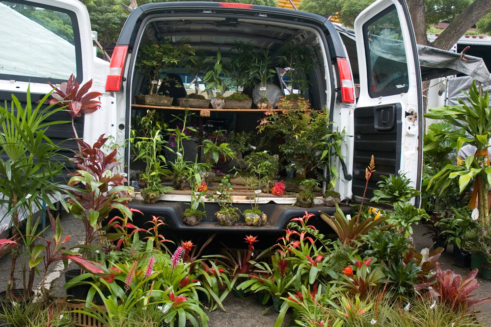Van full of plants