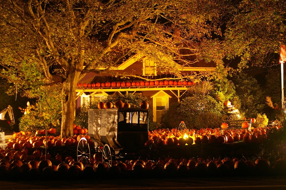 hundreds of pumpkins in front of dark house