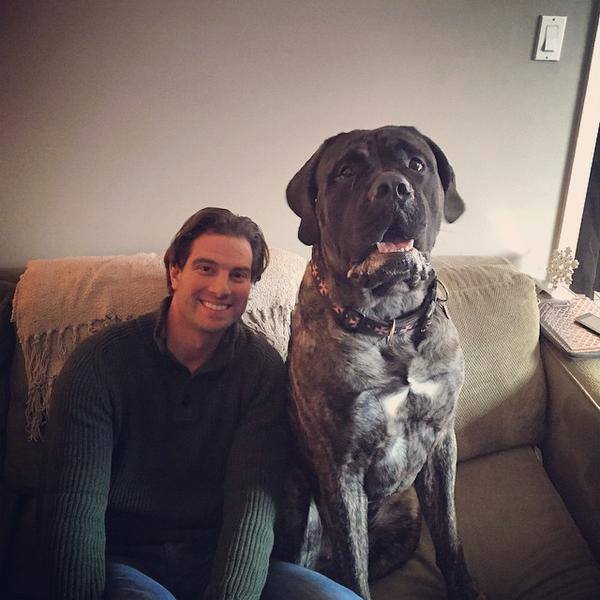Scott McGillivray sitting on a couch with a huge dog